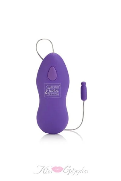 Whisper Micro Heated Bullet - Powerful Quiet and Heats Up - Purple