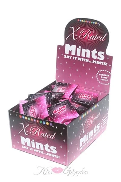 Fun Mints with X-Rated Amuse Messages - 12 Count Display