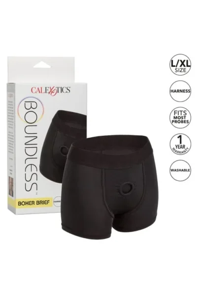 Boundless Boxer Brief Harness with Internal Support - L/XL - Black