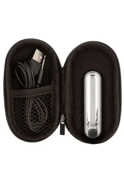 Rechargeable Bullet Vibrator with Discreet Travel Case - Silver